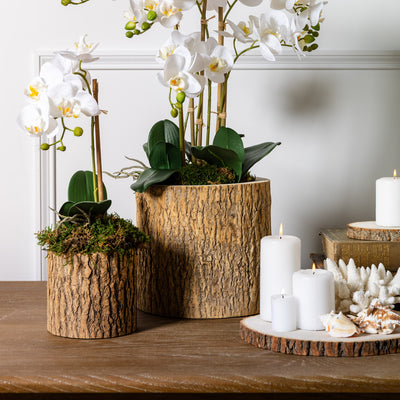 Tree Trunk Rustic Wood Planters Styled with Orchids and Moss on Console