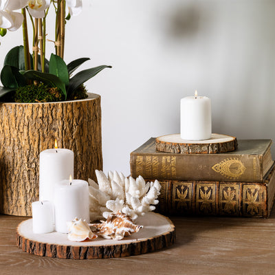 Rustic Wood Slices Styled on Console with Shells and Vintage Books