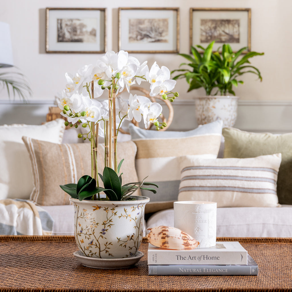 Hummingbird Planters With Saucer Styled on Coffee Table with Orchid