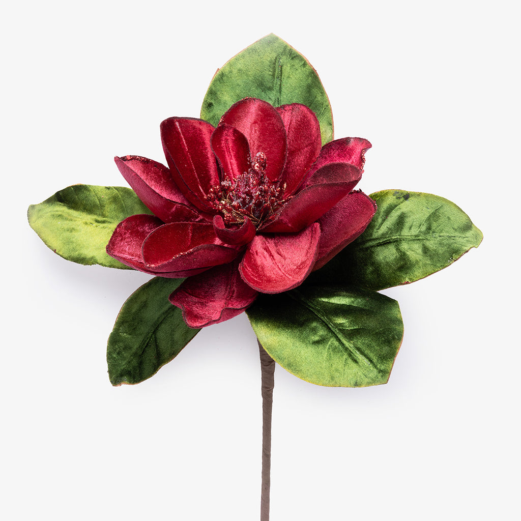 Velvet Magnolia Garnet Stem
