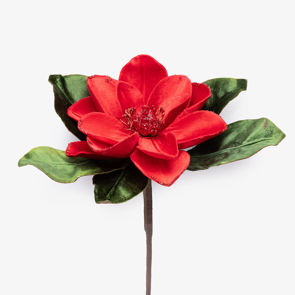 Velvet Magnolia Red Stem