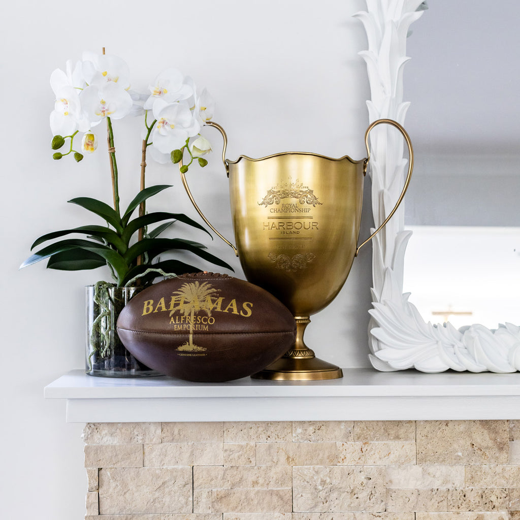 Vintage Leather Rugby Ball Styled With Orchid On Mantle