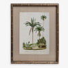 Vintage Palm Print 1 Front
