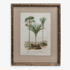 Vintage Palm Print 2 Front