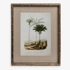Vintage Palm Print 3 Front