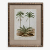 Vintage Palm Print 4 Front