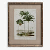 Vintage Palm Print 5 Front