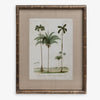 Vintage Palm Print 6 Front