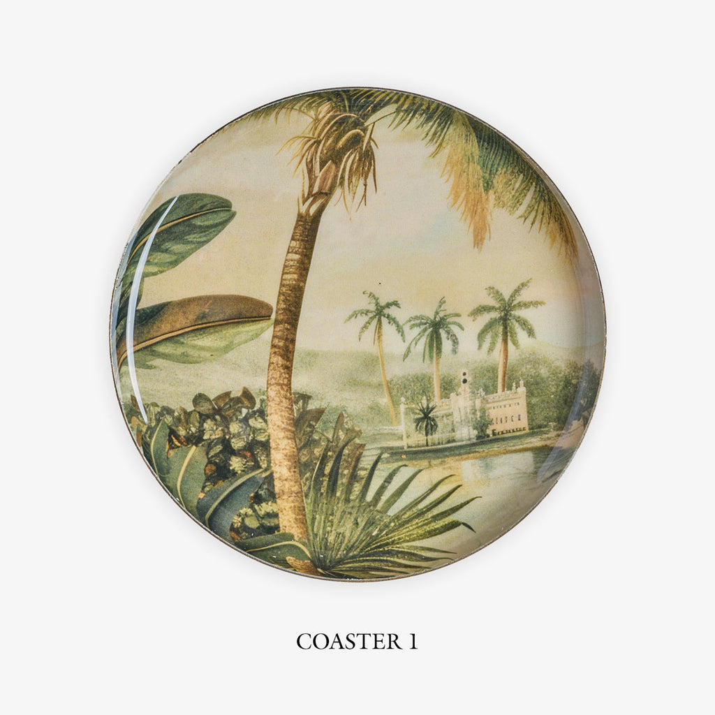 Vintage Palm Coasters 1