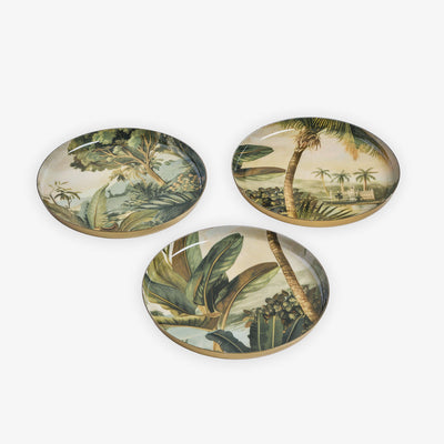 Vintage Palm Coasters GROUP SHOT