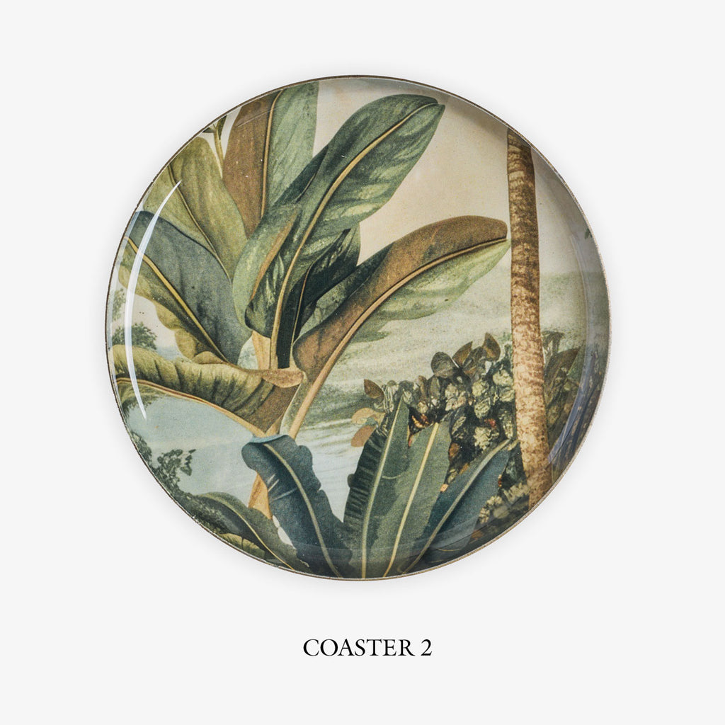 Vintage Palm Coasters 2