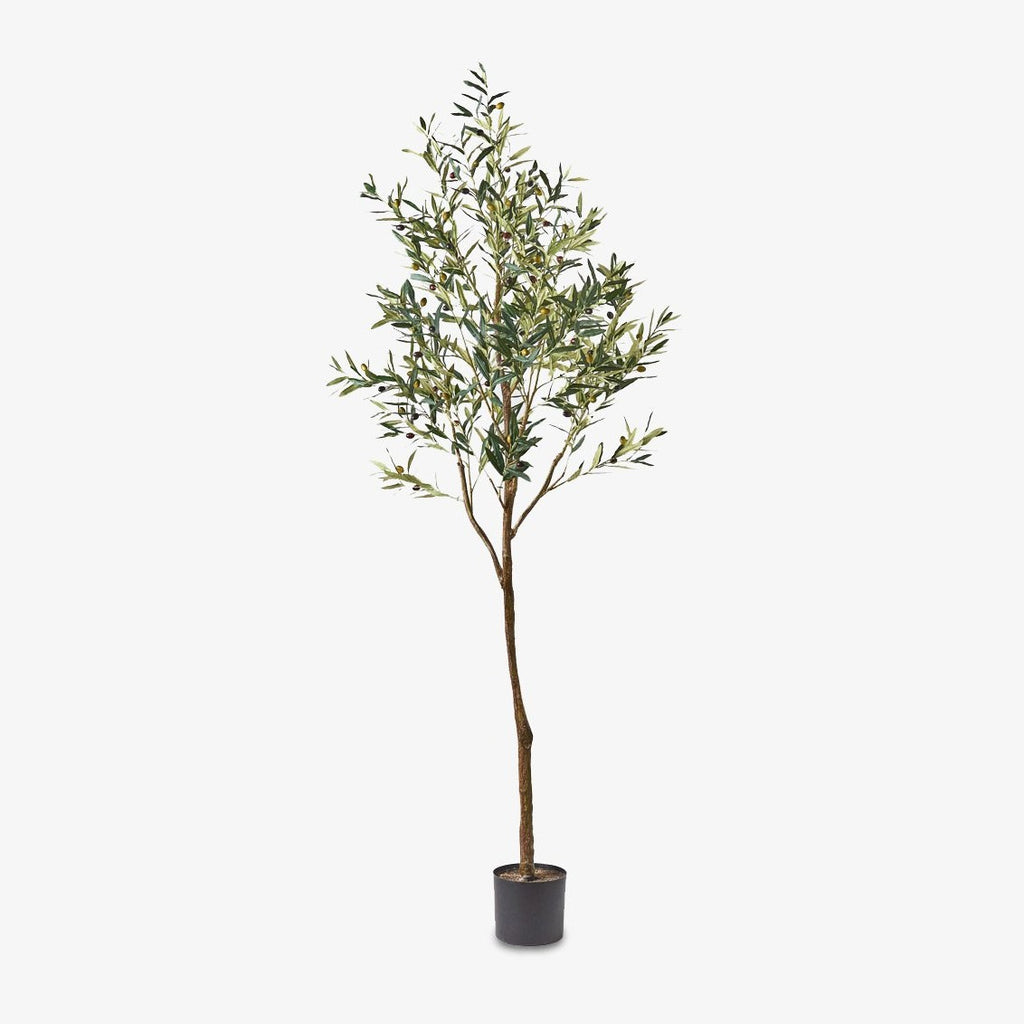 Artificial Olive Trees