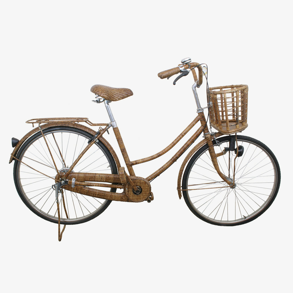 Rattan Bicycle