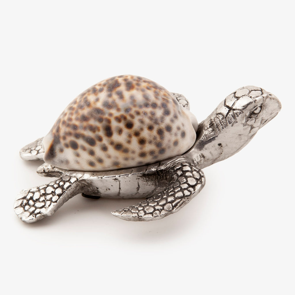 Cowrie Shell Turtle