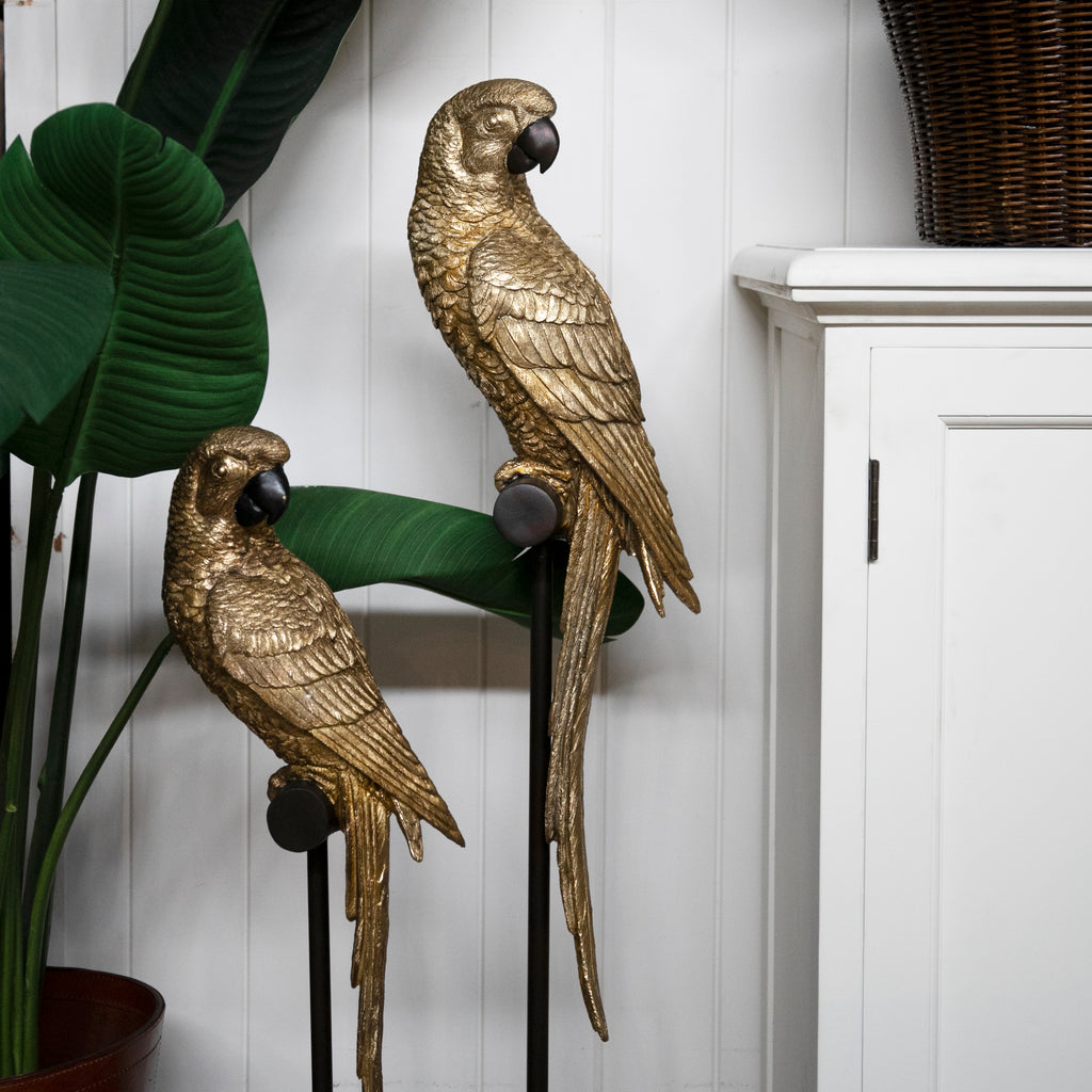 Golden Parrot on Stand 30 Inch Styled Two
