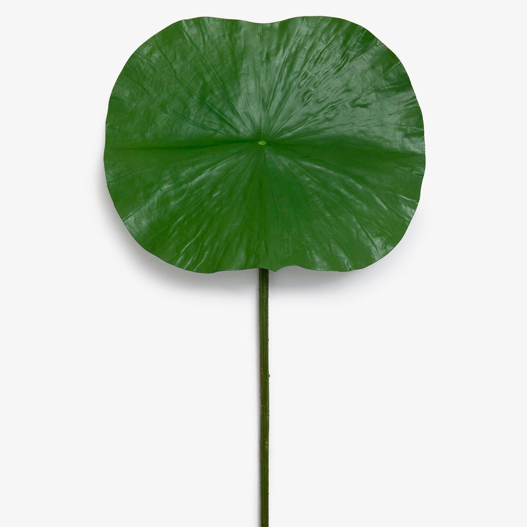 Lotus Leaf Green 96cm