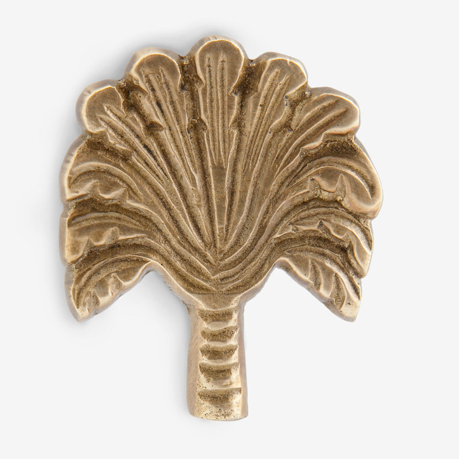 Palm Drawer Knob Brass Front