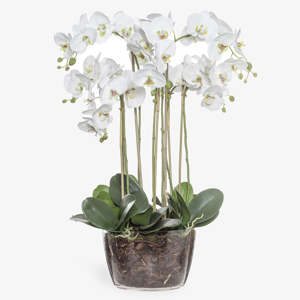 Artificial Flower Arrangement Orchid In Bowl 82cm