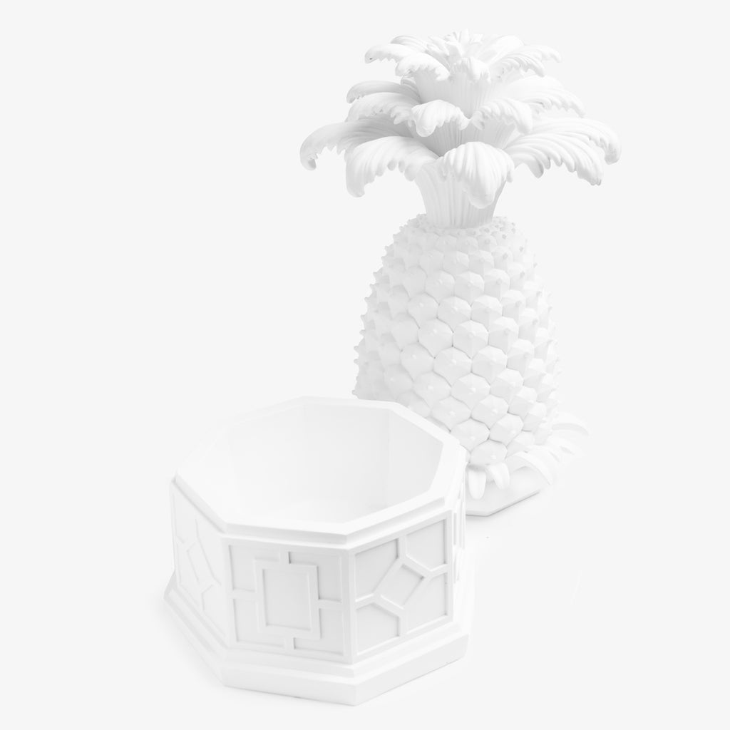 Pineapple Box White