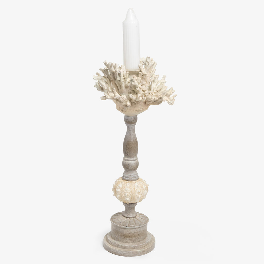 Tall Urchin Coral Candle Holder