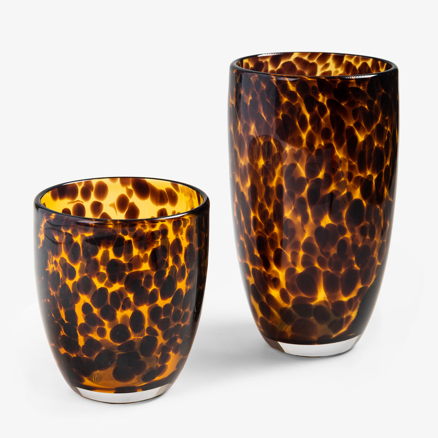 Tortoise Shell Glasses Grouped