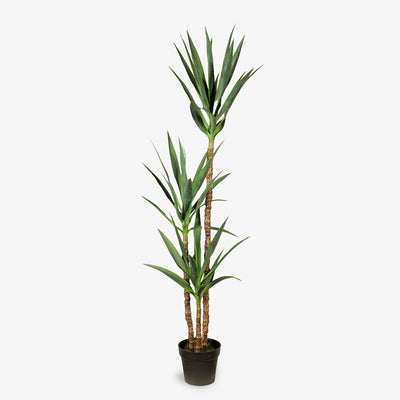 Artificial Yucca Plant Three Stem 155cm Front