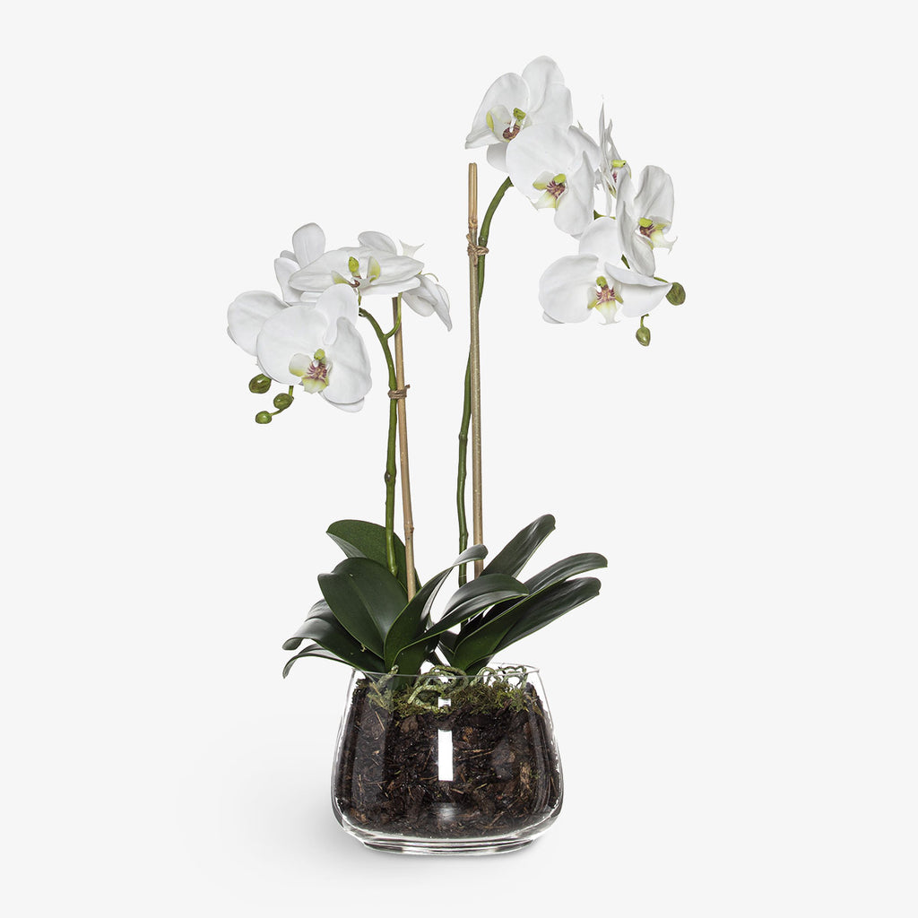 Artificial Flower Arrangement Orchid In Bowl 54cm