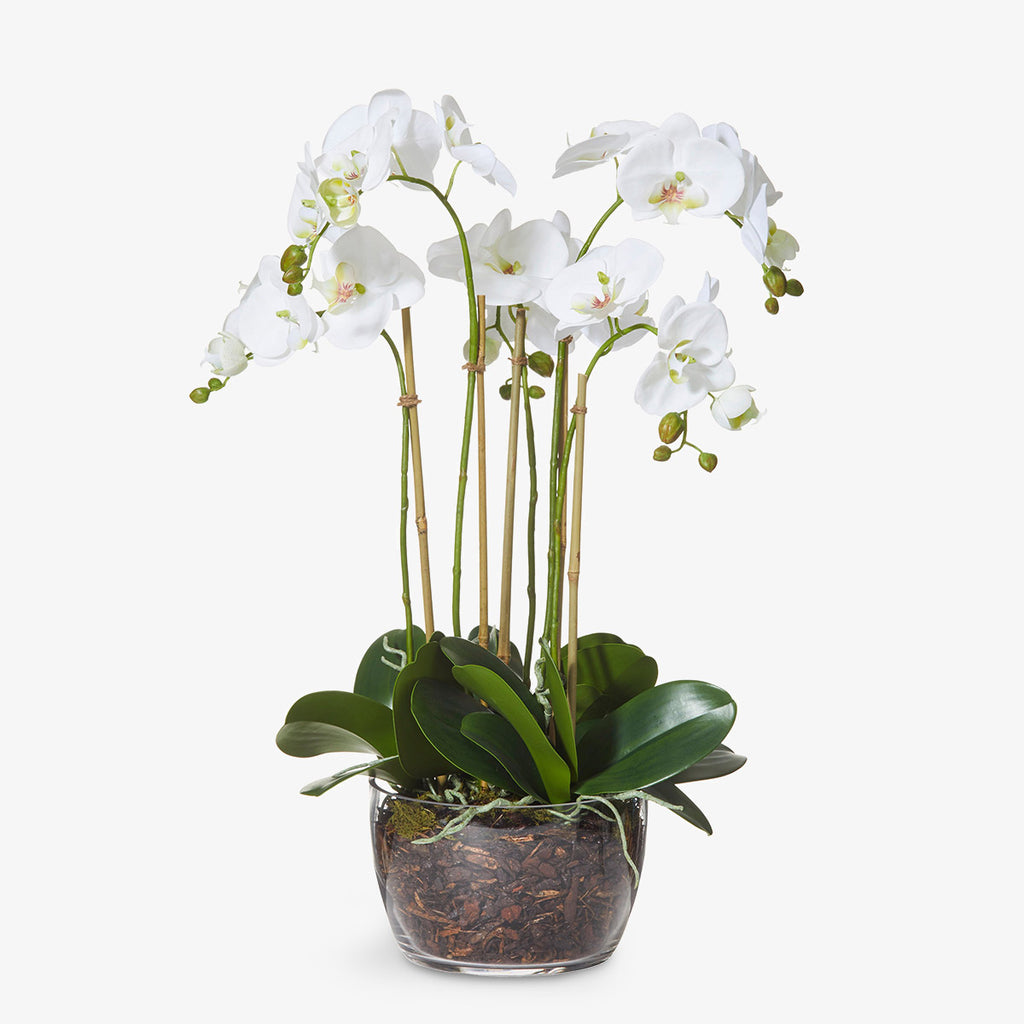 Artificial Flower Arrangement Orchid In Bowl 68cm