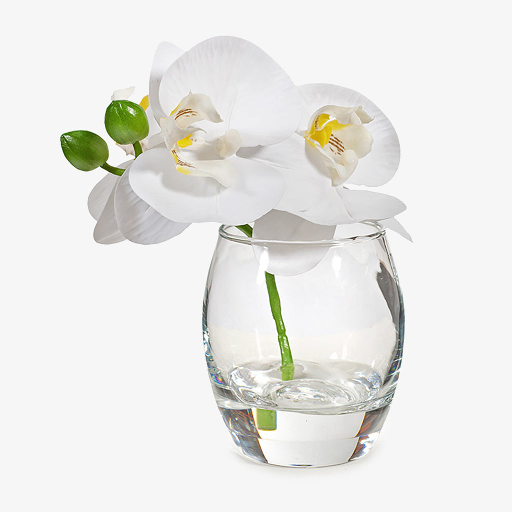 Artificial Arrangement Orchid In Vase White 15cm