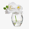 Artificial Phalaenopsis Orchid In Vase White 15cm