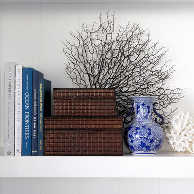 Artificial Sea Fan Coral Plant Brown Styled On Shelf