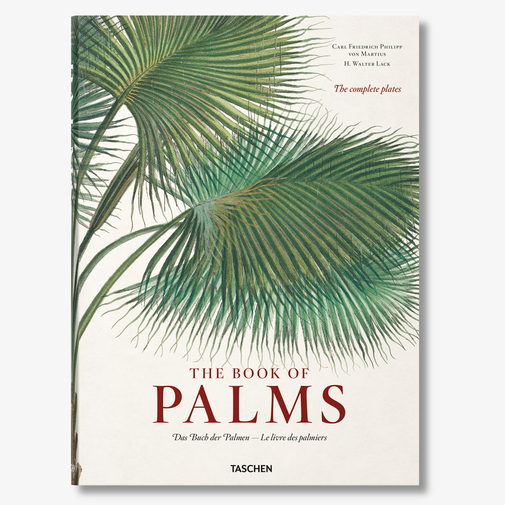 The Book Of Palms Large