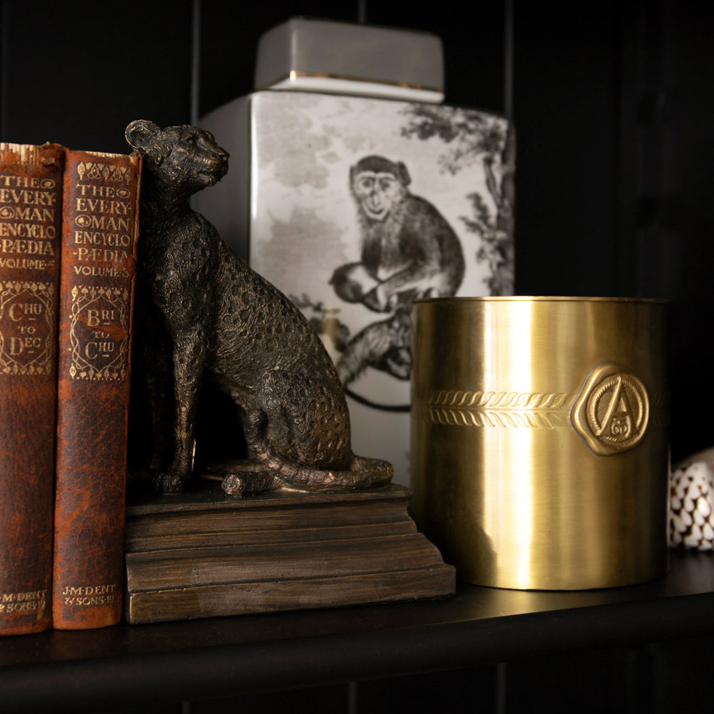 Cheetah Bookends Close Up