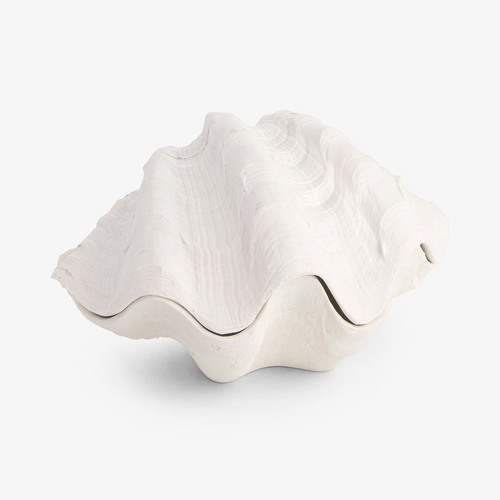 Clam Shell Trinket Boxes Resin White