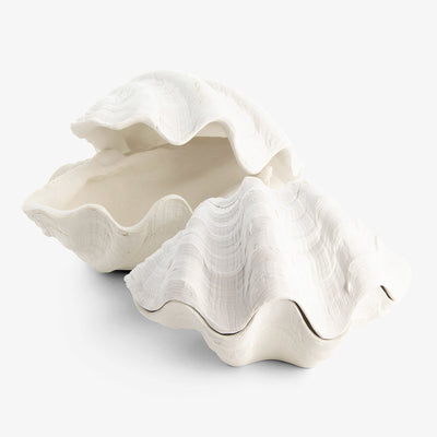 Clam Shell Trinket Boxes Resin White Grouped