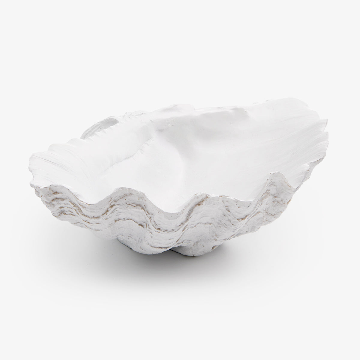 Clamshell White Color Clam Shell (White 24cm) | Home Decor