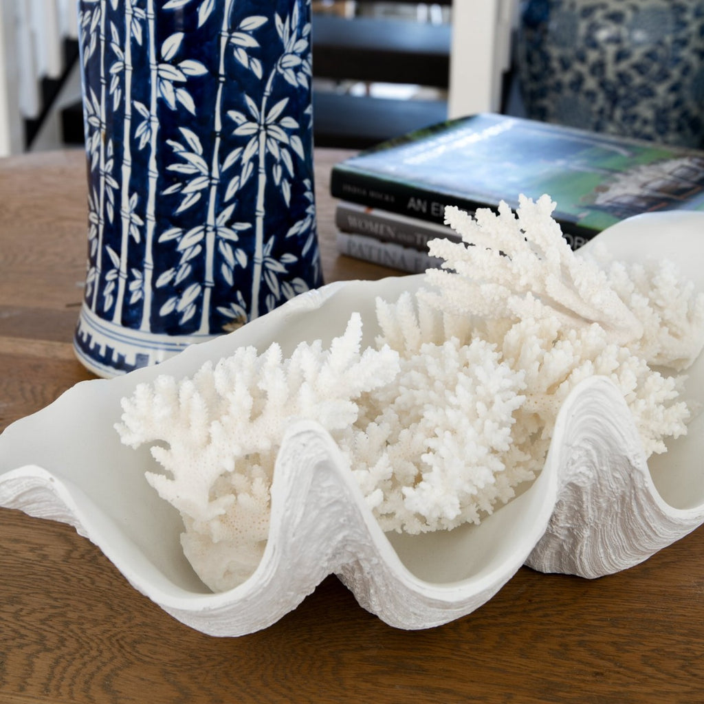 Clamshell White Color Clam Shell (White 51cm) | Home Decor