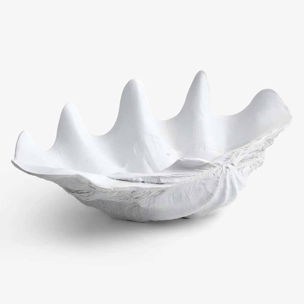 Clam Shell White 52cm
