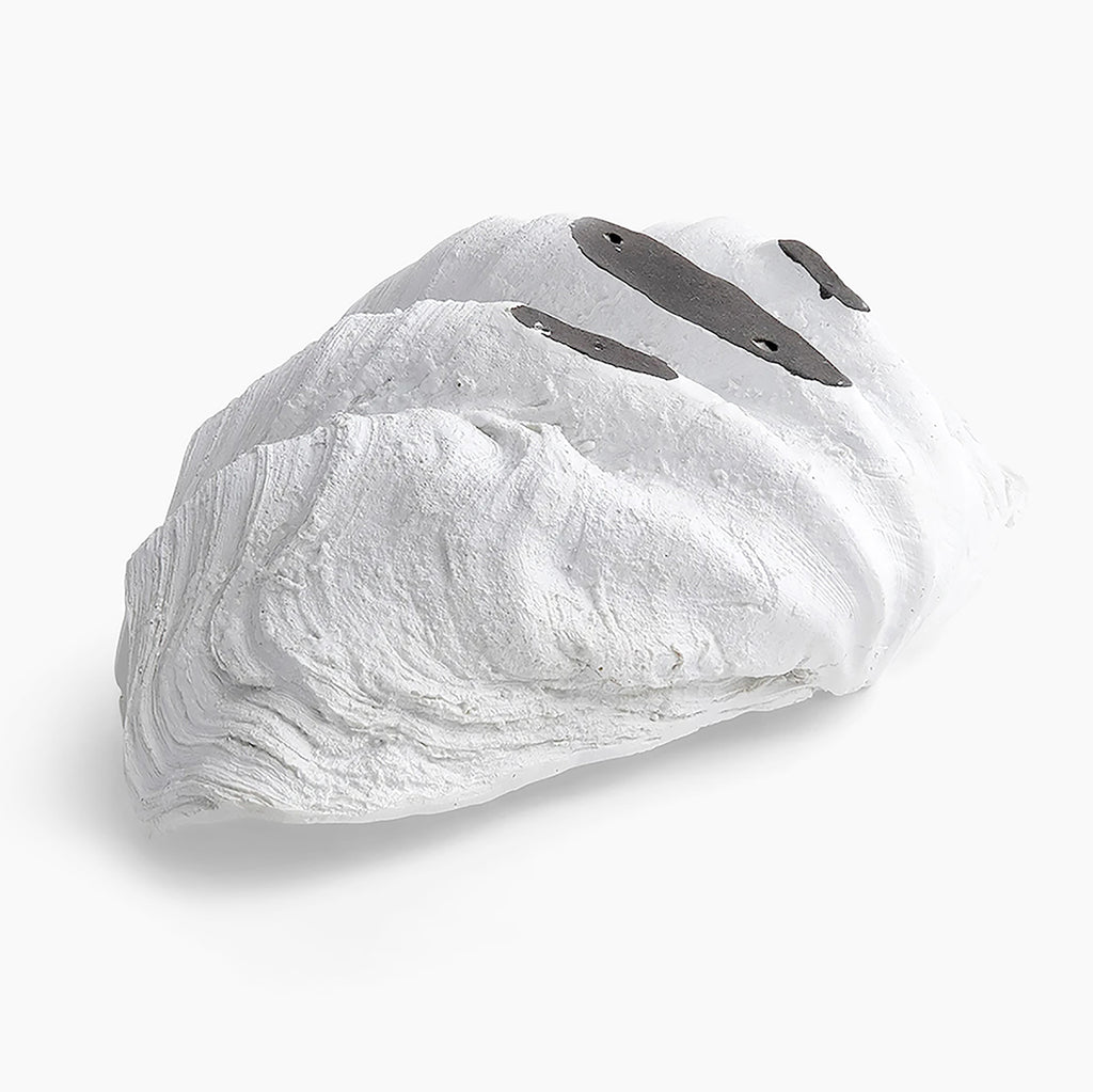 Clam Shell White 52cm
