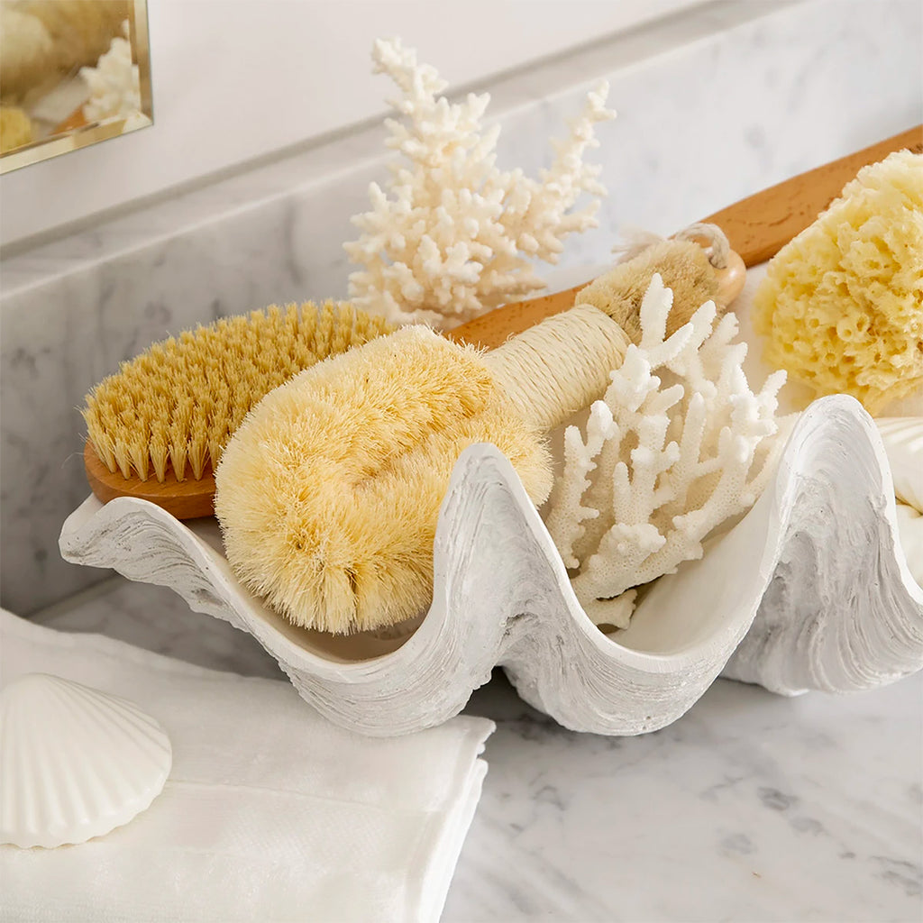 Clam Shell White 52cm Styled Close Up