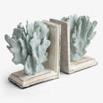 Coral Bookends Aqua