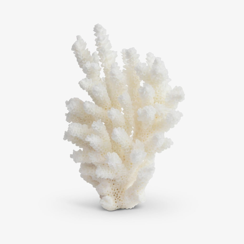 Coral Piece White Extra Small