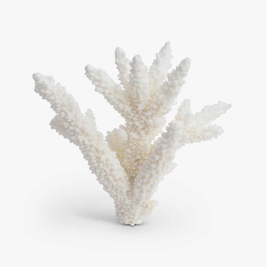 Coral Piece White Extra Small