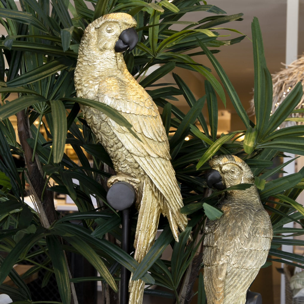 Parrot on Stand Golden 30 Inch Styled