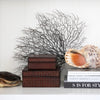 Leather Boxes Winter