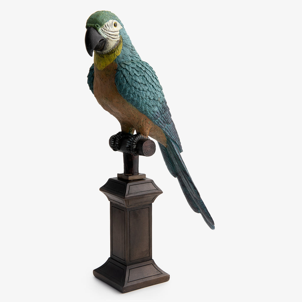 Parrot Multicoloured Head Right Large 49cm