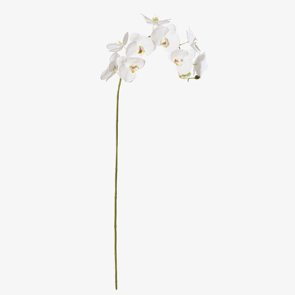 Artificial Orchid Stem White 122cm