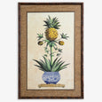 Pineapple Print Artwork Brown Rattan Frame Double Bud