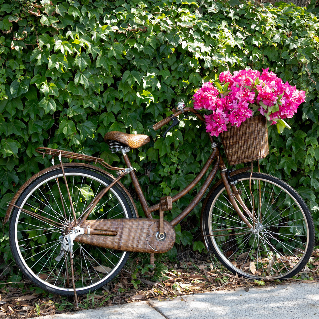 Rattan Bicycle In Front Of Hedge
