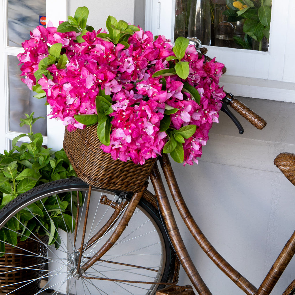 Rattan Bicycle With Bougainvillea